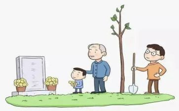 局扫墓活动方案优质7篇