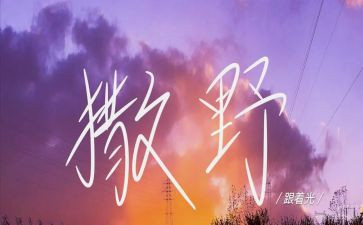 《撒野》的作文5篇
