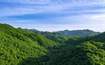 《游黄山》的作文8篇