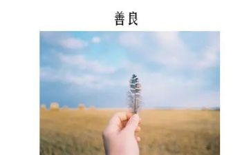 善良的作文6篇