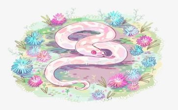 玩贪吃蛇的作文精选6篇
