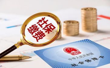社保工作计划和总结5篇