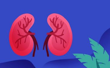 肾内科个人述职报告最新8篇