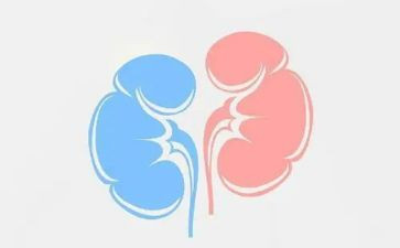 肾内科医生年度工作总结7篇