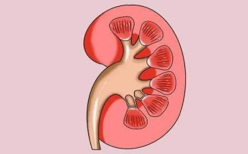 肾内科年度总结最新6篇
