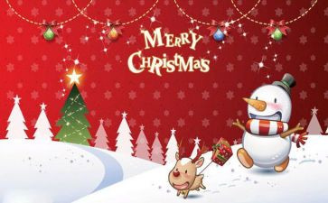 圣诞节活动方案策划6篇