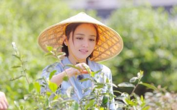 彩生活心得体会7篇