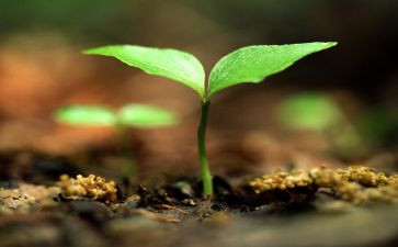 珍爱生命防溺水演讲稿最新5篇