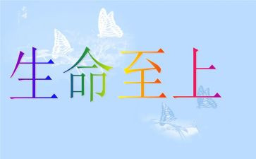 《生命至上》作文通用7篇