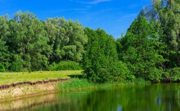 生态环保类教案7篇