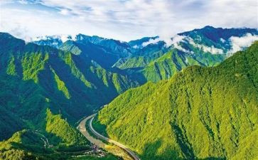 生态瓶教案精选5篇