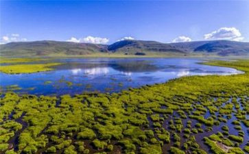 生态环保类作文5篇