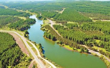 生态校园演讲稿6篇