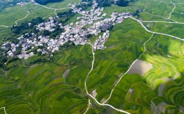 生态样方调查报告8篇