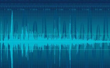 好声音作文800字推荐5篇