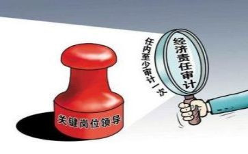 审计年度工作报告8篇