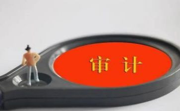 审计进点会领导讲话稿7篇