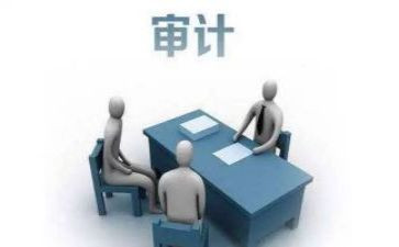 审计年度个人总结5篇