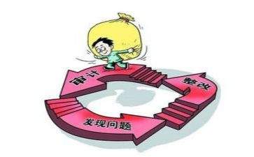 审计员述职报告6篇