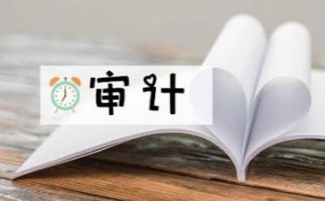审计的心得体会7篇