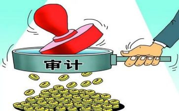 2024审计工作总结8篇