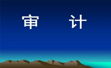 个人审计年终总结模板5篇