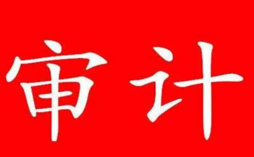 2024审计工作总结最新7篇