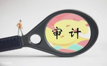 审计年度个人总结通用5篇
