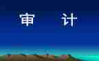 个人审计年终总结模板5篇