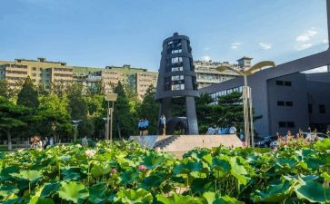 幼儿园教师大班教育心得5篇