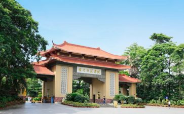 幼儿老师大班个人总结6篇