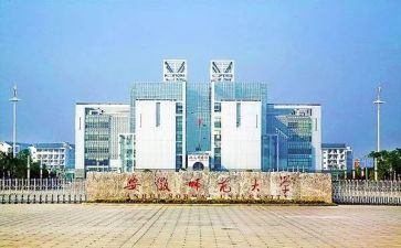 师范类实习个人总结最新5篇