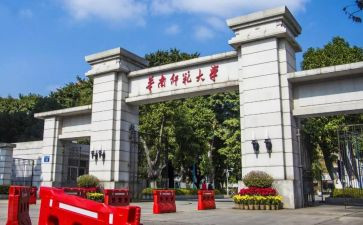 我的老师范文300字作文8篇