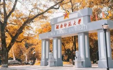 实习心得体会师范最新5篇