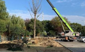 施工年终总结个人总结6篇