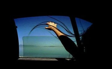 失去作文优秀5篇