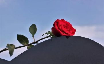 失去作文参考8篇