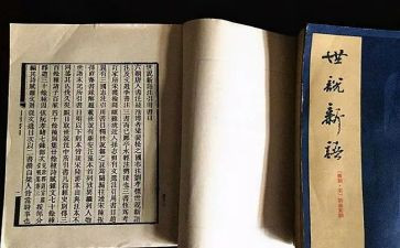 《世说新语》两则教案7篇