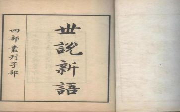 读世说新语的心得体会8篇