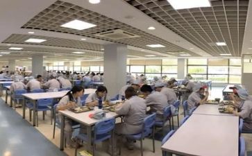 关于食堂调查报告8篇