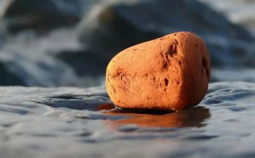 小班石头教案8篇