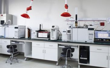 实验后感作文7篇