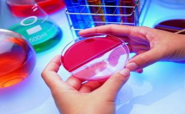 高校实验室个人总结5篇