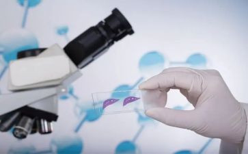 实验的实验心得推荐6篇