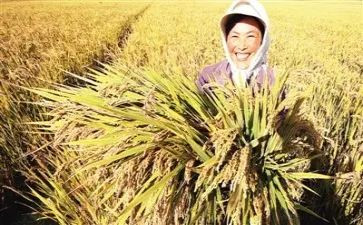 有关于收获的演讲稿5篇
