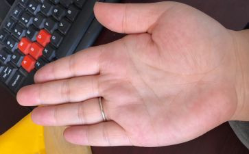 手掌树教案7篇
