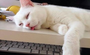 睡眠与健康教案6篇