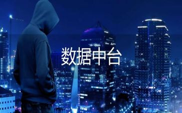 数据岗年度总结7篇