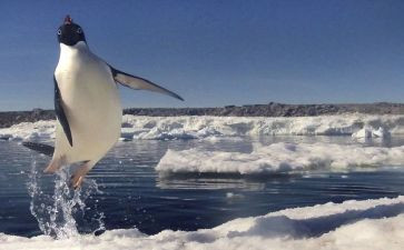 难忘的瞬间作文7篇