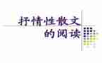 抒情作文300字初中作文5篇